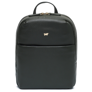 Braun Buffel