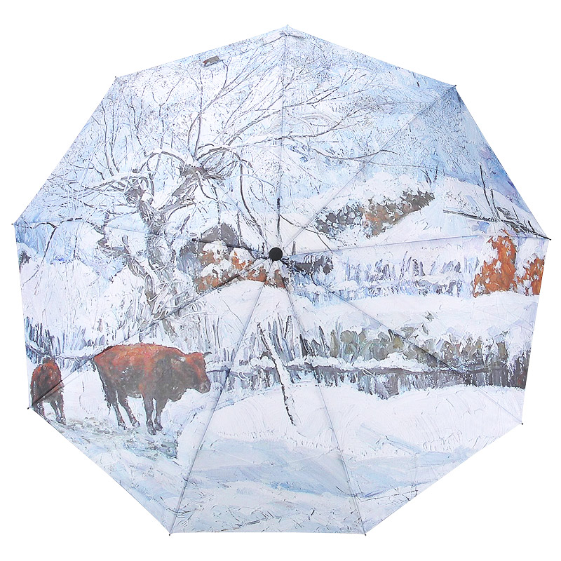 Складной зонт с зимним принтом Raindrops 