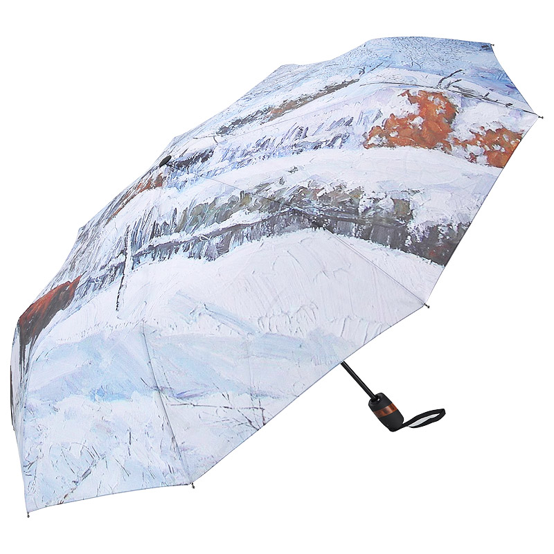 Raindrops Складной зонт с зимним принтом